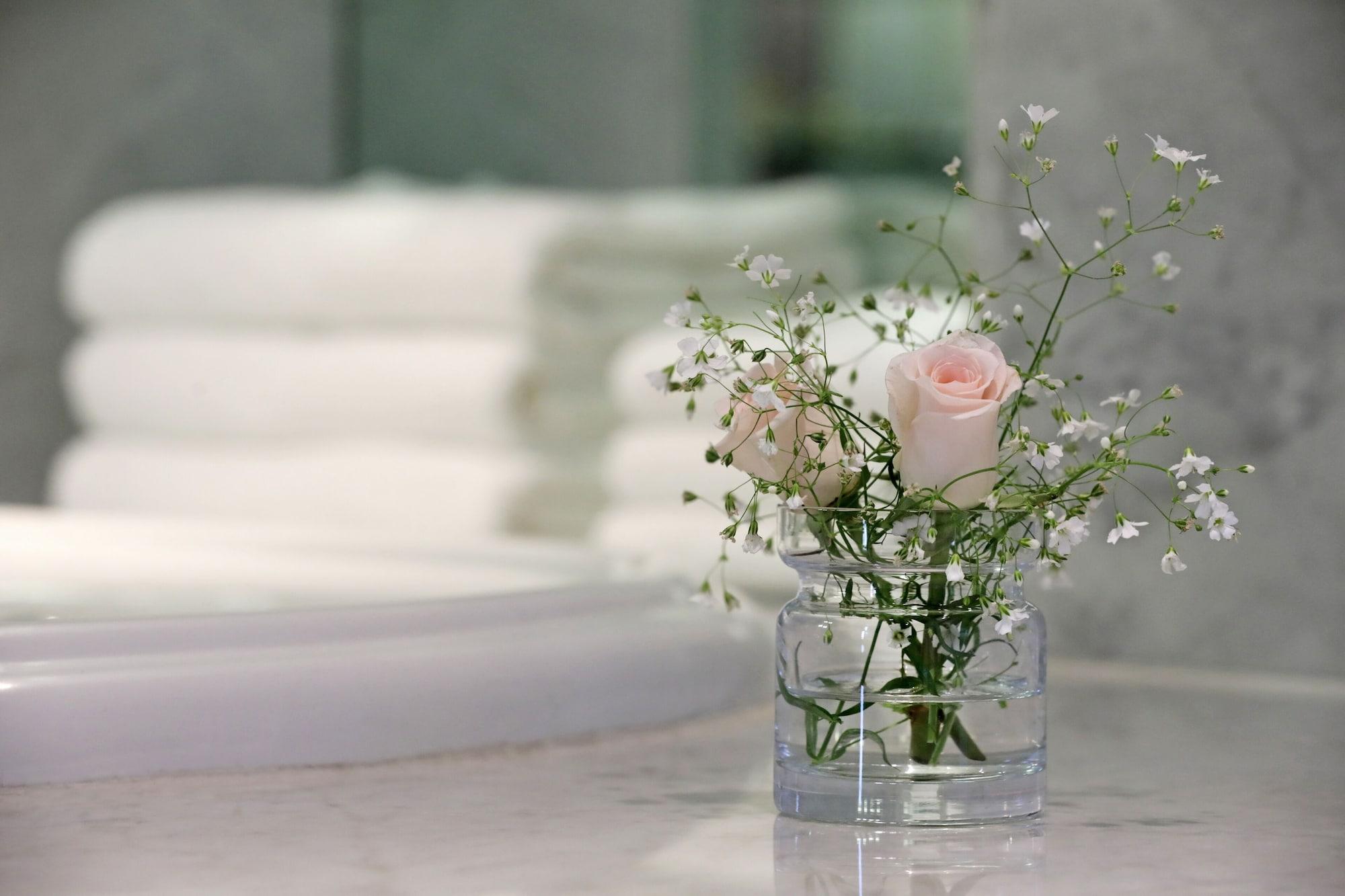 Park Hyatt Mendoza Hotel, Casino & Spa מראה חיצוני תמונה Gypsophila paniculata