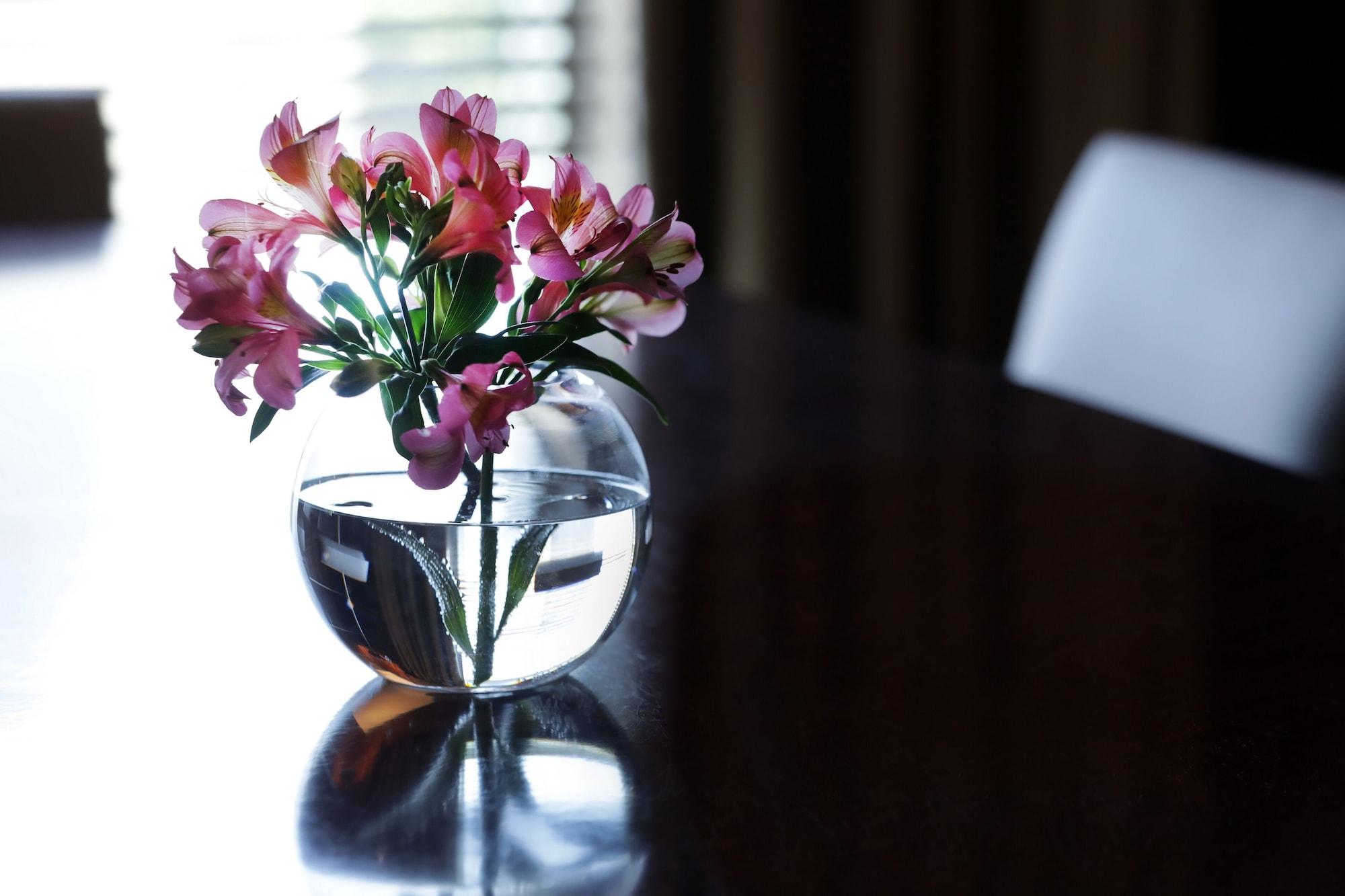 Park Hyatt Mendoza Hotel, Casino & Spa מראה חיצוני תמונה A flower vase